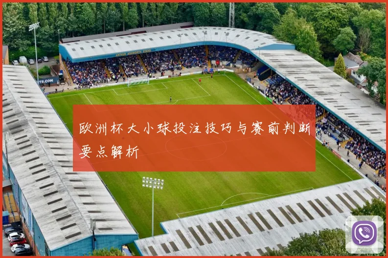 欧洲杯大小球投注技巧与赛前判断要点解析