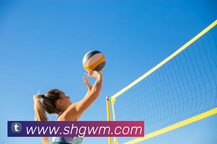 世界杯官网登录appAPP 封面图